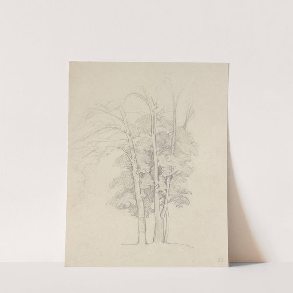 Three trees (1853) by Gustave Courbet