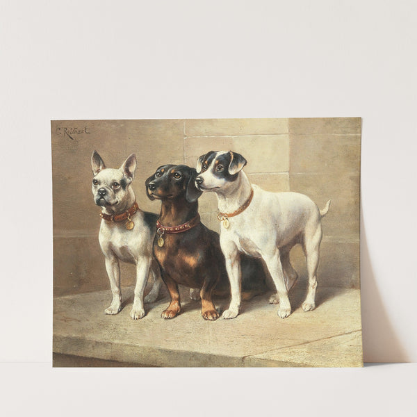 Three watchful dogs by Carl Reichert