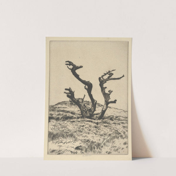 Three Witches (1900-1925) by Ernest Haskell