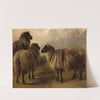 Three Wooly Sheep by Rosa Bonheur