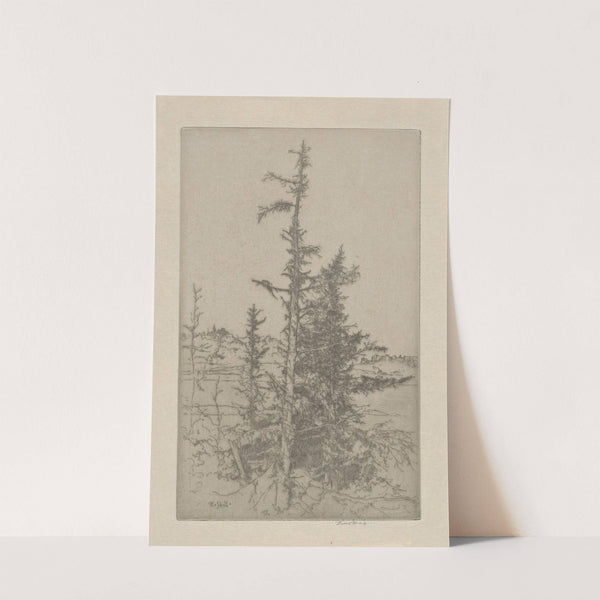 Through the Mist by Ernest Haskell