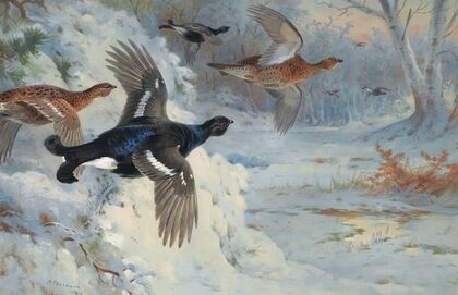 Through The Snowy Coverts-Blackgame (1926)