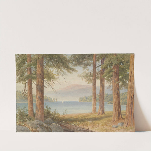 Through the trees by Harold Sutton Palmer