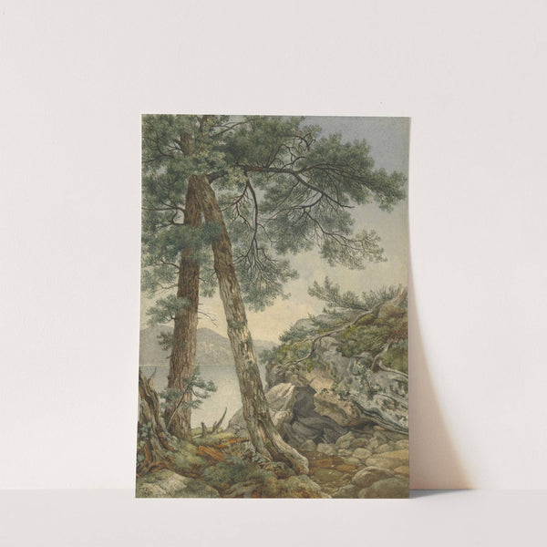 Through the Trees by Frederick Frank Durand