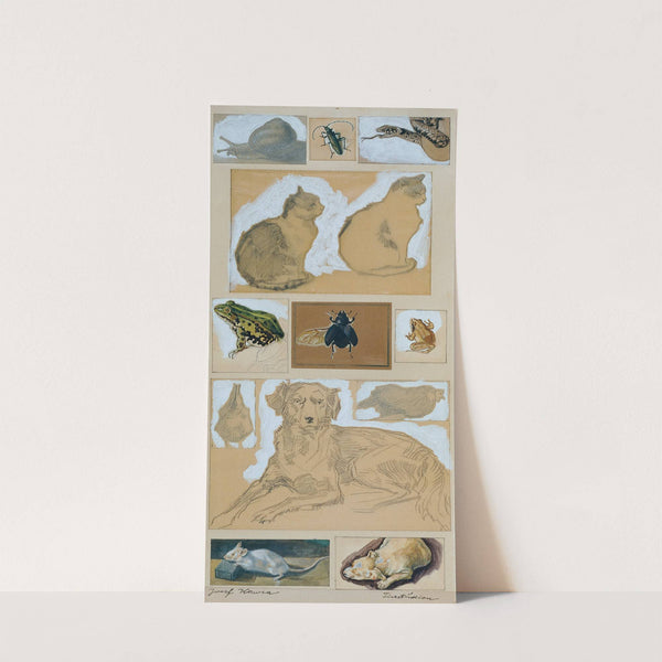 Tierstudien (12 Skizzen) by Josef Wawra