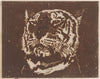 Tiger (1890)