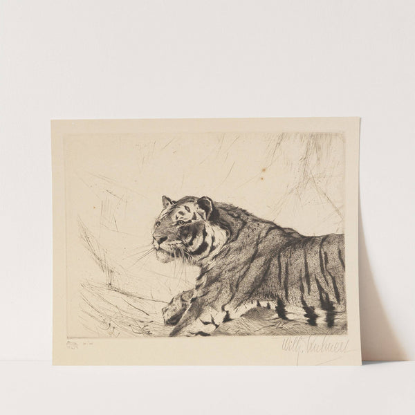 Tiger (1915-1921) by Wilhelm Kuhnert