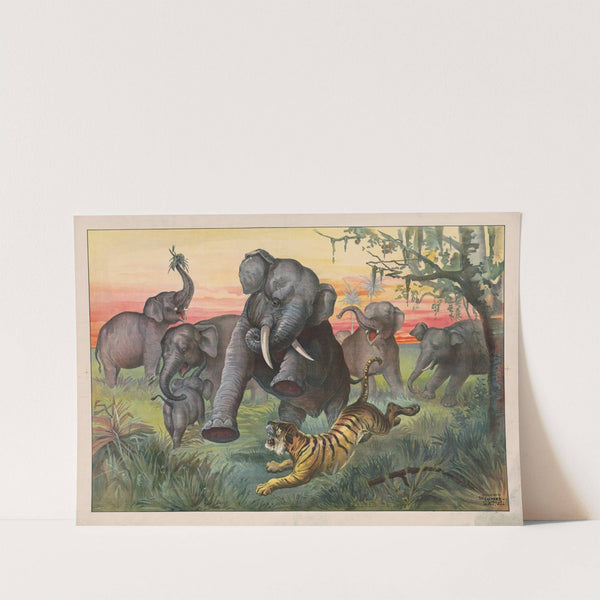 Tiger attacking herd of wild elephants (1890) by Calvert Litho. Co