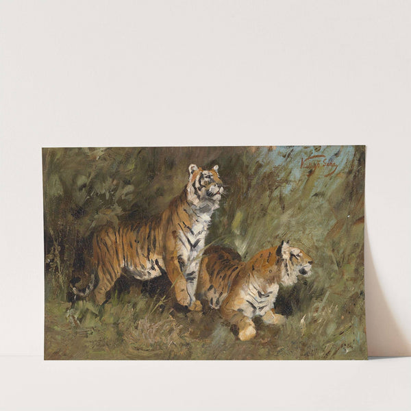 Tiger im hohen Gras by Geza Vastagh