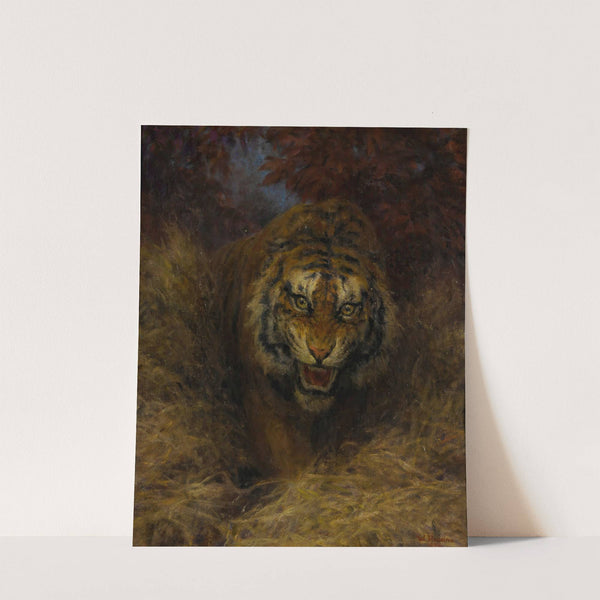 Tiger In The Grass by William Huggins