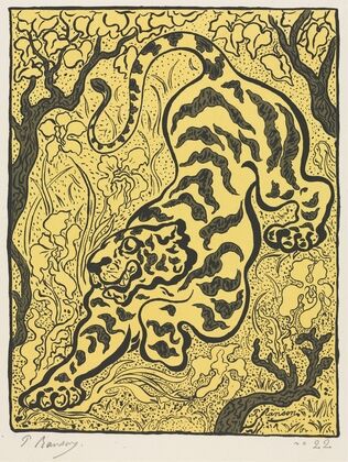 Tiger in the Jungle