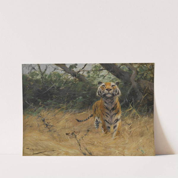 Tiger On The Watch (1901) by Wilhelm Kuhnert