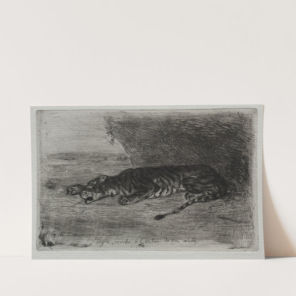 Tiger Sleeping at the Entrance to His Lair (c. 1828–30) by Eugène Delacroix