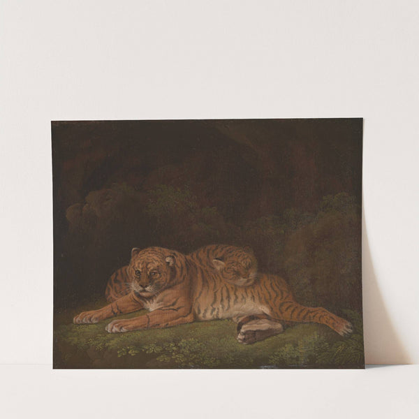 Tigers by Charles Towne