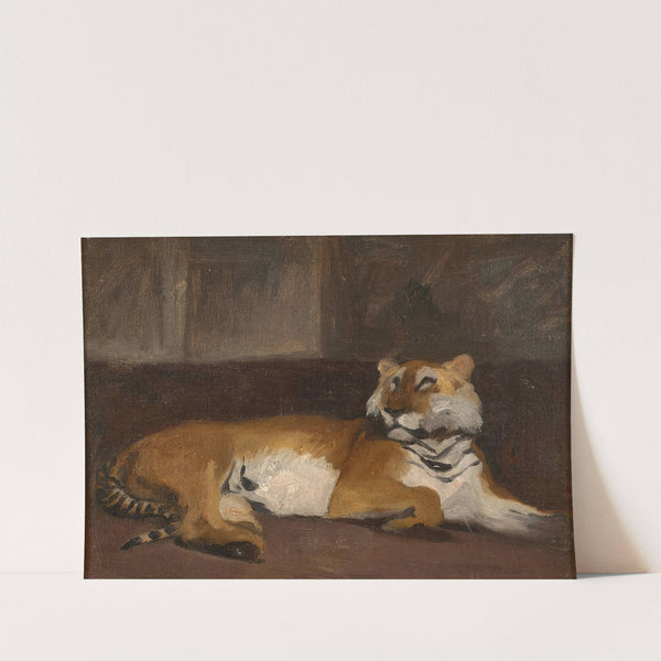 Tigre allongé by Auguste Lançon