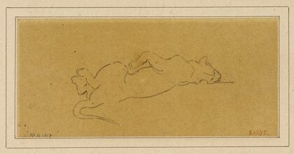 Tigre mort (19th century)