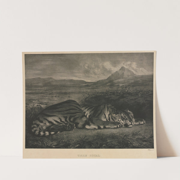 Tigre Royal (1829) by Eugène Delacroix