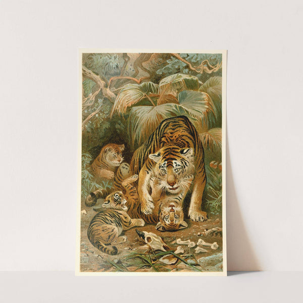 Tigress and Cubs by Anonymous