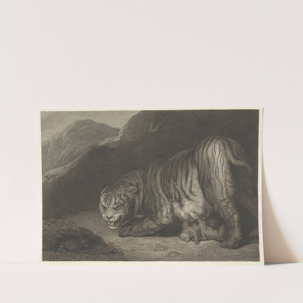 Tigress (1799) by James Northcote