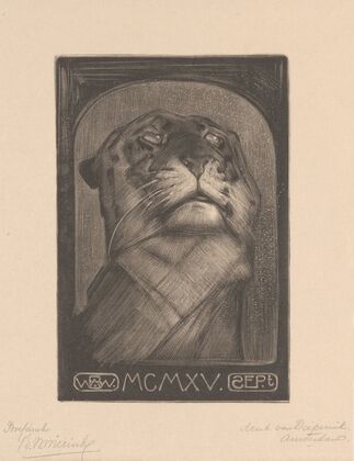 Tijgerkop (1915)