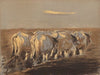 Tillage in Ukraine (1904)