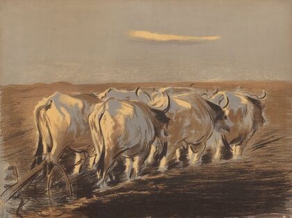 Tillage in Ukraine (1904)