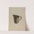 Tin Measuring Cup by Russell Madole