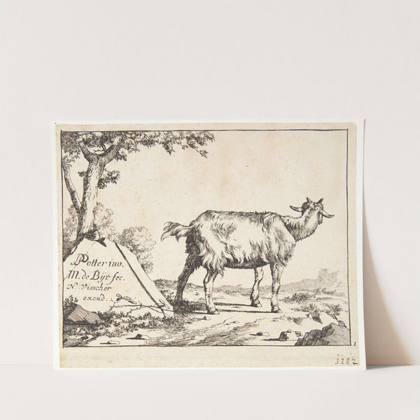 Titelblad til Geder og gedebukke by Marcus de Bye