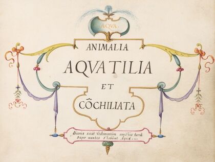 Title Page – Animalia Aqvatilia et Cochiliata (Aqva) (1575-1590)