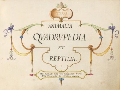 Title Page – Animalia Qvadrvpedia et Reptilia (Terra) (1575-1590)