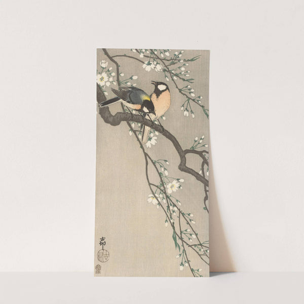 Tits on Cherry Branch by Ohara Koson