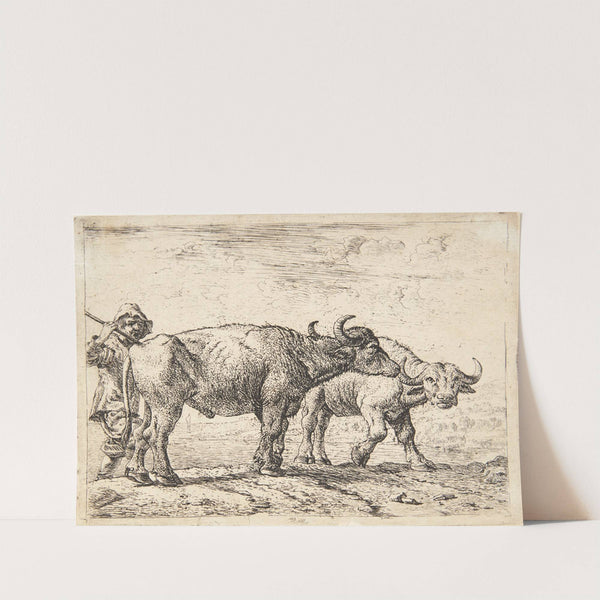 To bøfler og en hyrde by Pieter van Laer