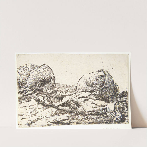 To døde heste by Pieter van Laer