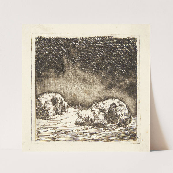 To får by Karel Dujardin