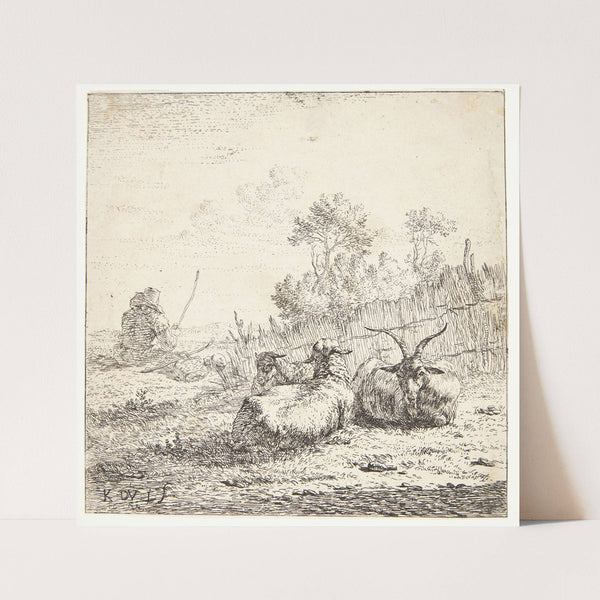 To får og en ged (1653) by Karel Dujardin