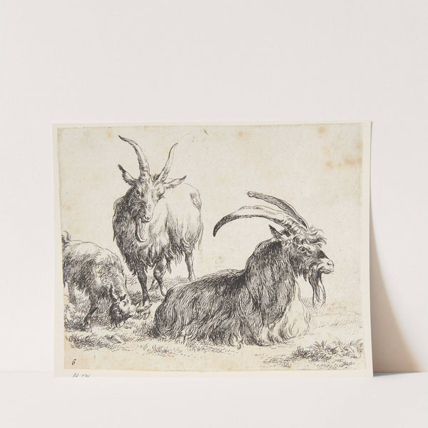 To geder og et kid by Nicolaes Pietersz. Berchem