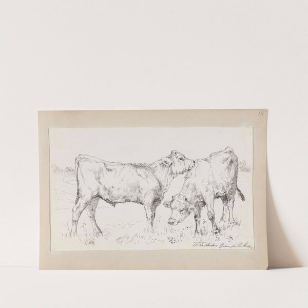 To kalver by Christian Skredsvig