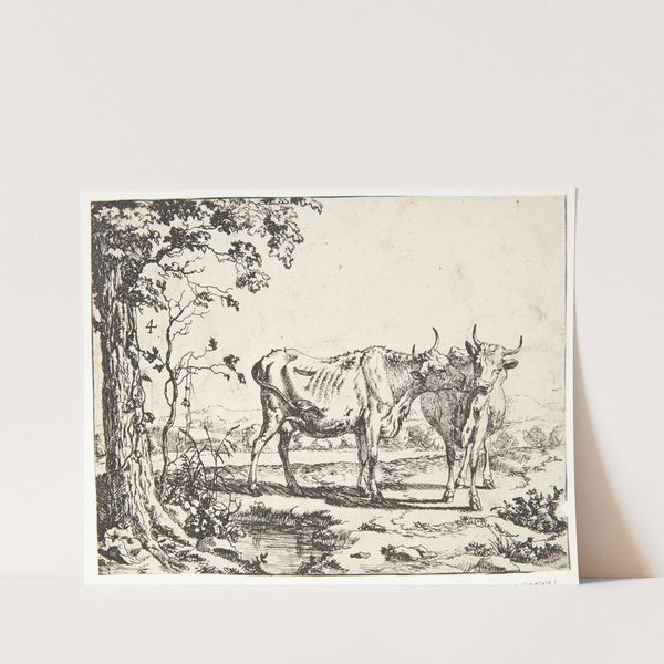 To køer by Marcus de Bye