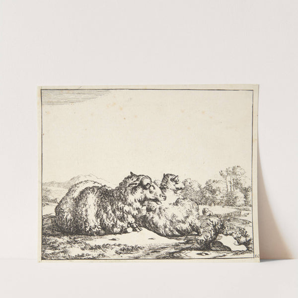 To liggende får by Marcus de Bye