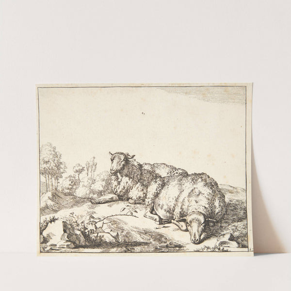 To liggende får by Marcus de Bye