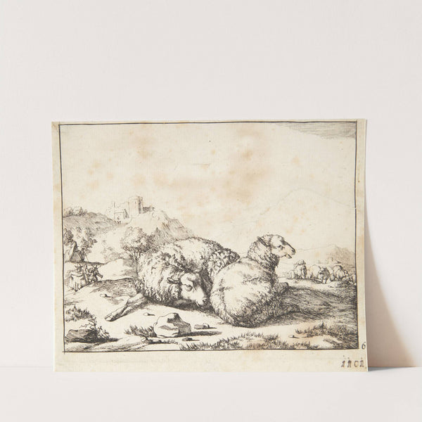 To liggende får by Marcus de Bye