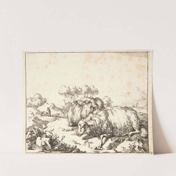 To liggende gimmer, den ene gravid by Marcus de Bye