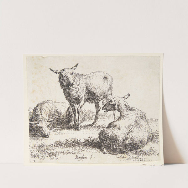 To liggende og et stående får by Nicolaes Pietersz. Berchem