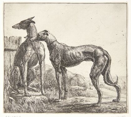 To mynder og en sovende hund