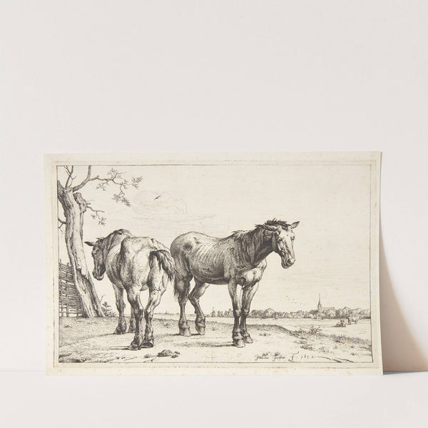 To pløjeheste by Paulus Potter