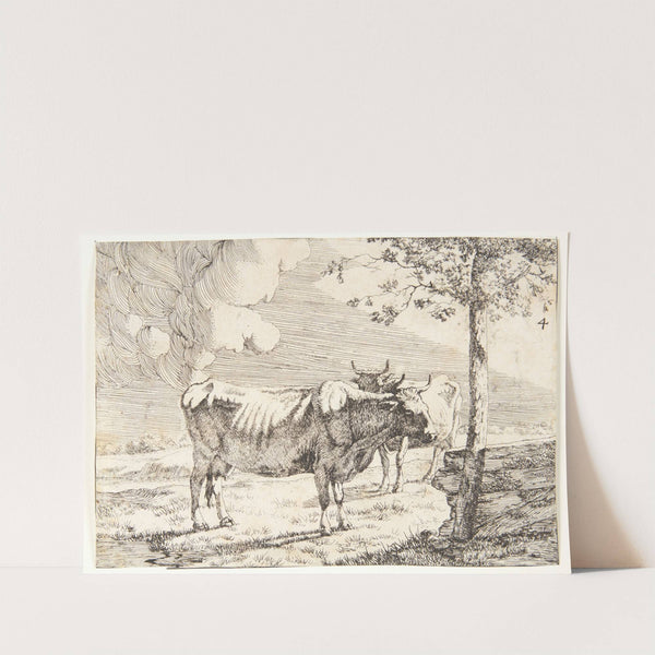 To stående køer by Marcus de Bye