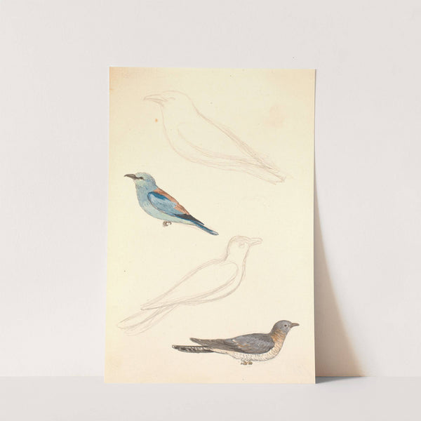 To studier af en ellekrage og to studier af en gøg by P. C. Skovgaard