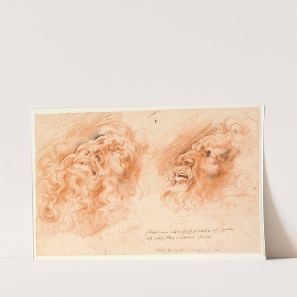 To studier af Laokoons hoved; det ene set en face, nedefra, det andet set i profil by Willem Panneels