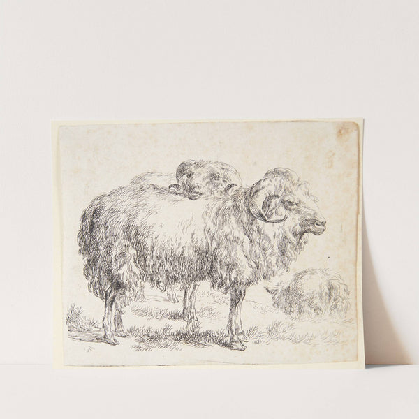 To væddere by Nicolaes Pietersz. Berchem