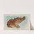 Toadfish (1889) by Allen & Ginter